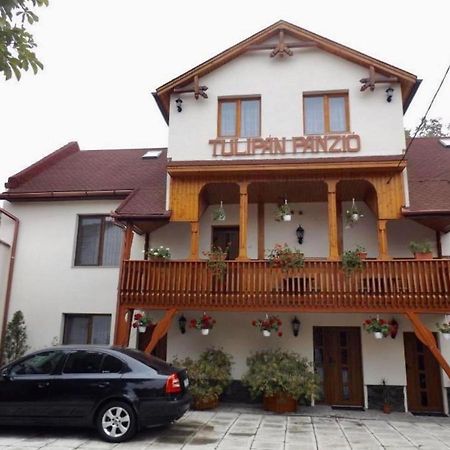 Tulipan Panzio Bed and Breakfast Sfântu-Gheorghe Εξωτερικό φωτογραφία