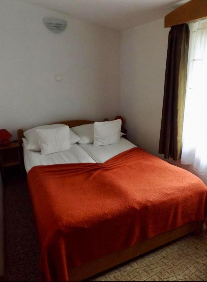 Tulipan Panzio Bed and Breakfast Sfântu-Gheorghe Εξωτερικό φωτογραφία