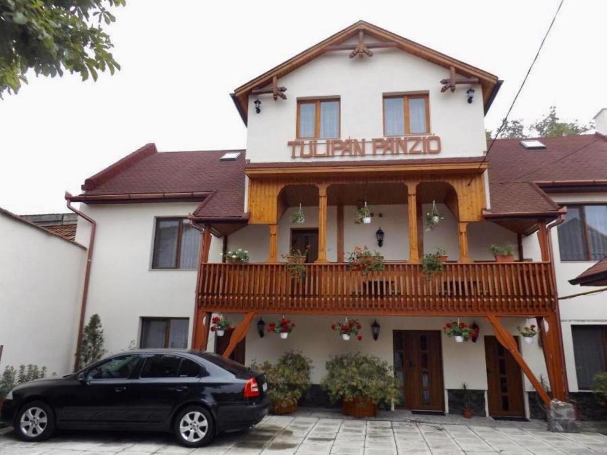 Tulipan Panzio Bed and Breakfast Sfântu-Gheorghe Εξωτερικό φωτογραφία