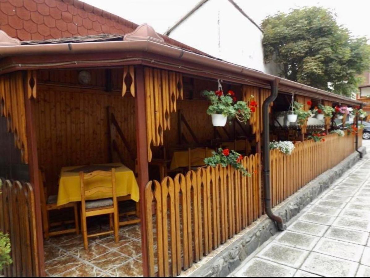 Tulipan Panzio Bed and Breakfast Sfântu-Gheorghe Εξωτερικό φωτογραφία