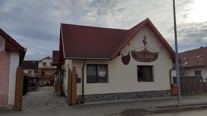 Tulipan Panzio Bed and Breakfast Sfântu-Gheorghe Εξωτερικό φωτογραφία